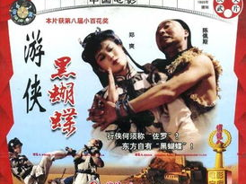 电影游侠黑蝴蝶,江湖恩怨,剑指天涯