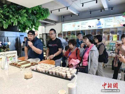 台胞组团考察云南咖啡产业:咖香带来真情、惊喜与共赢