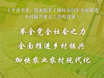 2023年中央一号文件,乡村振兴战略再升级,农业现代化迈新步