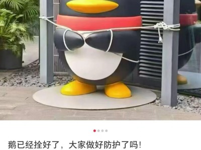 企鹅变“拴Q”、汽车被五花大绑、商超剩下辣椒,广东多地提醒无需过度囤货