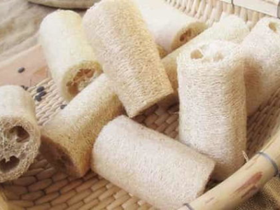 丝瓜络的功效与作用,天然养生佳品,疏通经络,保健养生之道