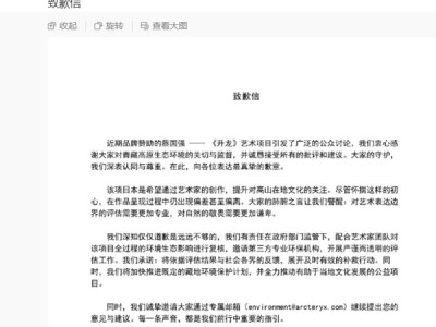 西藏日喀则就烟花秀事件成立调查组,始祖鸟、蔡国强致歉