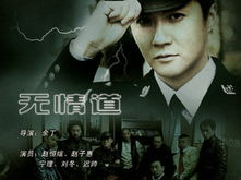 无情道电视剧全集,复仇之路,爱恨交织的江湖传奇