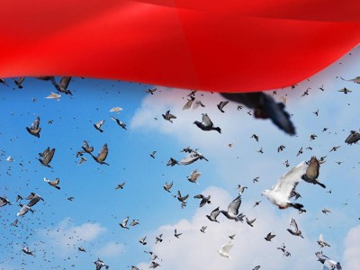 砥柱中流领航复兴——中国人民抗日战争暨世界反法西斯战争胜利80周年纪念活动启示录(六)