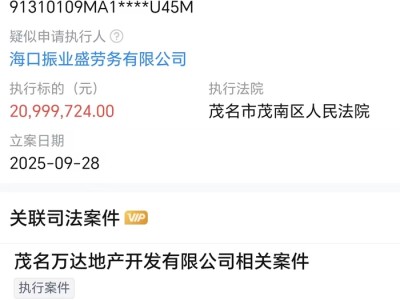 万达地产等被恢复执行2099万,限制消费令高达128条