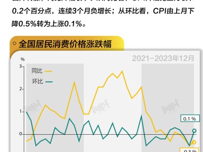 基本面 | 全年CPI同比上涨0.2%,12月同比连续3个月负增长