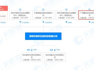 游戏科学公司 股东,股东阵容揭秘,共筑行业新篇章