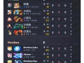 游戏id是啥,揭秘游戏世界中的神秘英雄