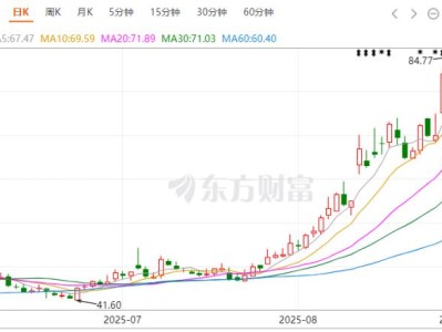 百亿芯片董事长,突遭留置